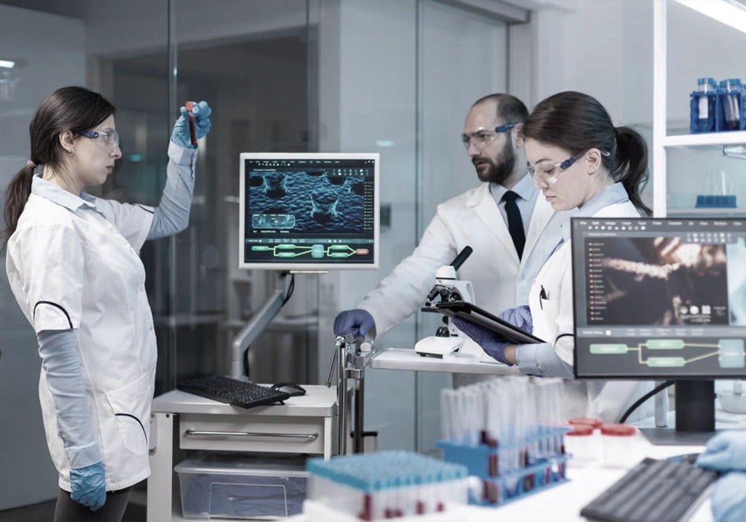 Dedicated Development Team